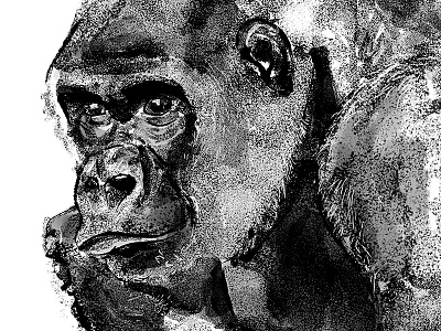 Gorilla black and white drybrush texture