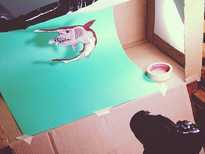 DIY light box diy lightbox oddimal shark week