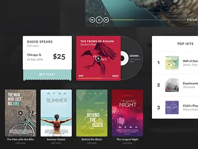 Aves UI Kit Media bird birds elements gui interface kit psd stylish ui ui kit web