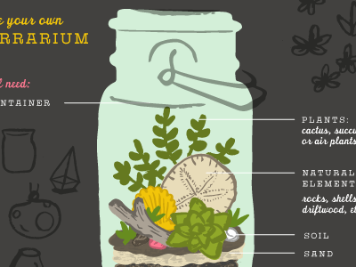 DIY terrarium cactus design diagram hand drawn handmade illustration pen and ink plants succulents terarrium typography vector