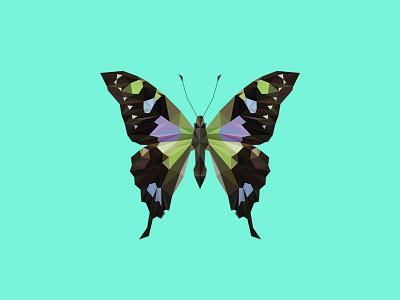 GRAPHIUM WEISKEI ARFAKENSIS - Flies Files Project - #002 butterfly collection fliesfiles lowpoly triangles vector