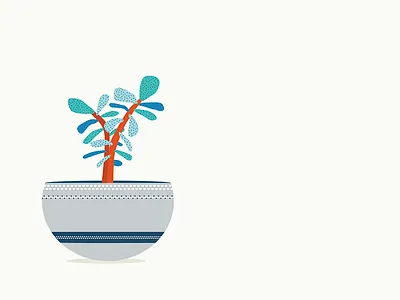 succulent crassula ovata green thumb illustration plant pottery succulent vector