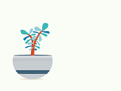 succulent crassula ovata green thumb illustration plant pottery succulent vector