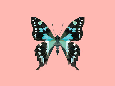GRAPHIUM STRESSEMANNI - Flies Files Project - #004 butterfly collection fliesfiles lowpoly triangles vector