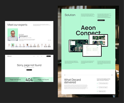 Decard. Case, experts, 404 pages. animation ui ux web design website