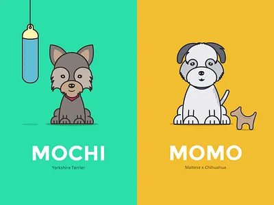 Momo & Mochi chihuahua dog illustration maltese puppy yorkshire