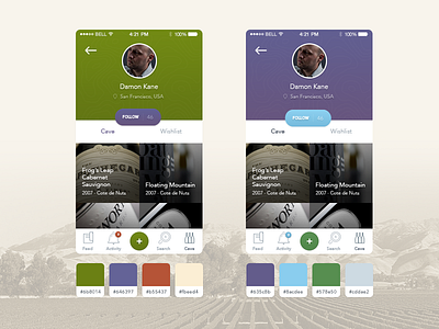 Profile color palette ios ui ux