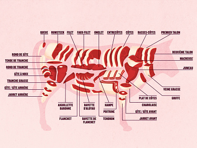 Beef cuts barbecue beef butcher cow cuts food meat steak