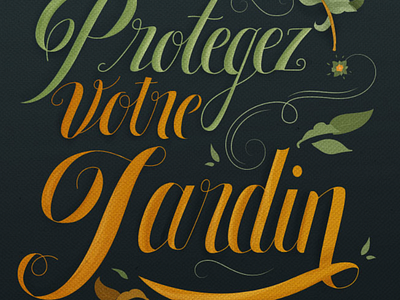 Protegez votre jardin illustration lettering