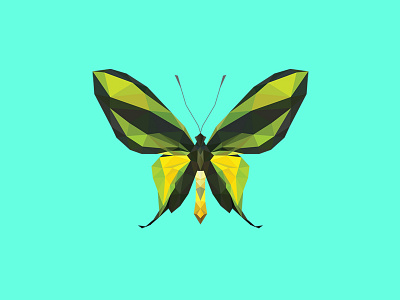 ORNITHOPTERA PARADISEA FLAVESCENS - Flies Files Project - #005 butterfly collection fliesfiles lowpoly triangles vector