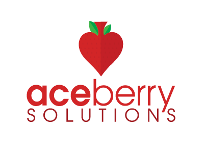 AceBerry Logo design graphic design logo typography