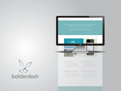 2013 website balderdash blue gray website