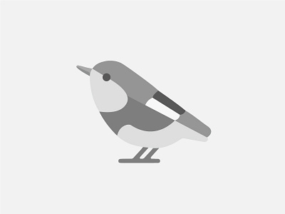 bird 2d animal bird cute design graphics illustration sparrow