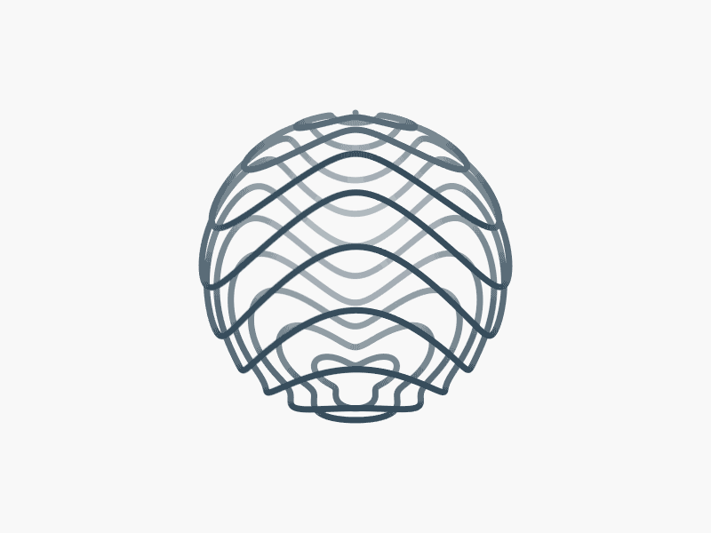 Globe geometry gif processing