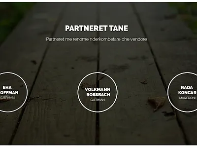 Partners company partner partnerss