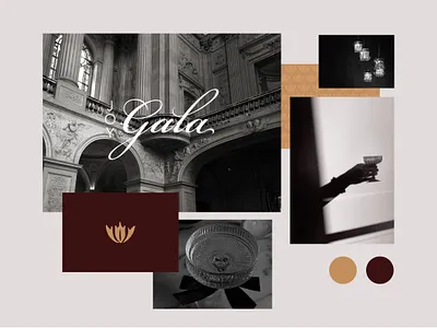 JOY Gala Mood board branding color graphic design illustration logo mood board texture typography