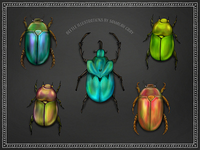 Bright Beetle Illustrations beetle bug insect scarab