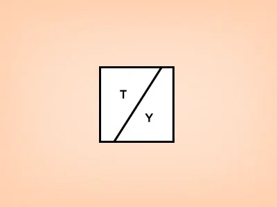 Thank You flat minimal t thank you y