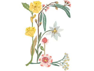Botanical Letter E botanical floral letter e typography