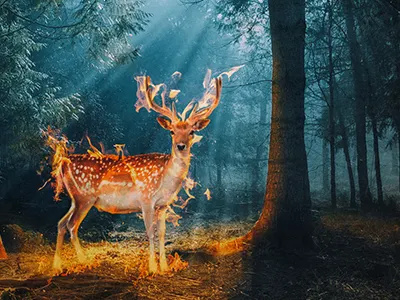 The Deer conceptual digital art fantasy photomanipulation