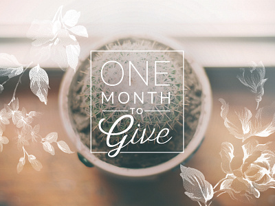 OMTG - Promo countdown design floral onemonthtogive photography type typography