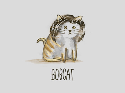 The Bobcat