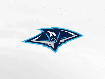 Jet fly jet logo mascot plane sports team