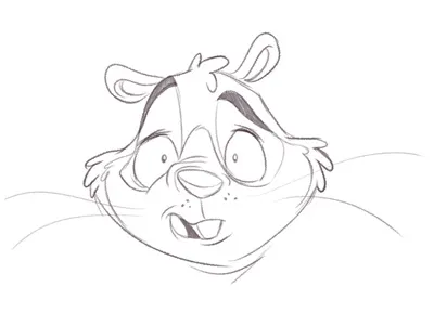 Squirrel Exp2 Dribb character design expression squirrel woodland creature