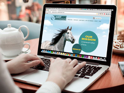 AAEP Foundation Website equine horse responsive web design web design website