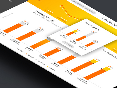 Drilldown analytics colorful data fitness flat gradients graphs