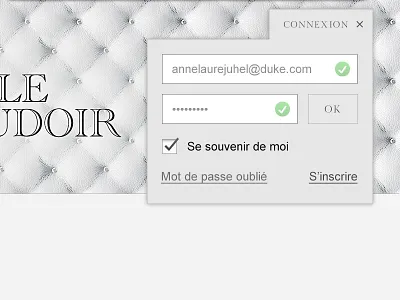 Log in box button connection field form grey log in login luxury premium sign in signin white