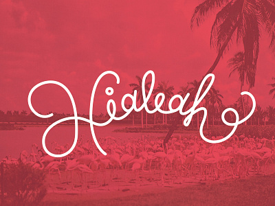 Hialeah flamingos hand lettering hialeah lettering miami palm trees tropical vector