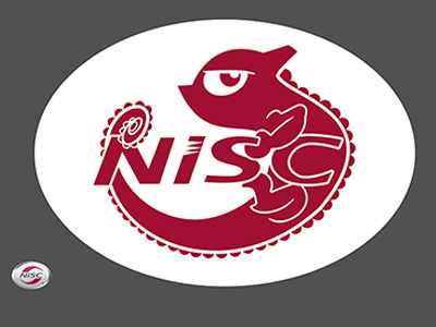 Chameleon logo Idea Flat Full chameleon logo photoshop