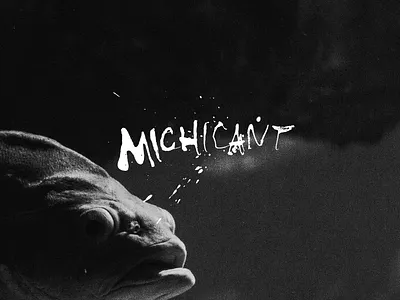 Michicant cola pen film ink lettering messy pen photo photography script typography bon iver fish