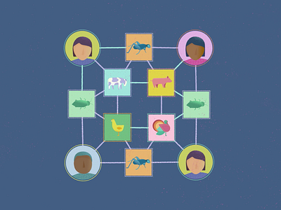 Illustration after effects animation colorful illustration motion graphics