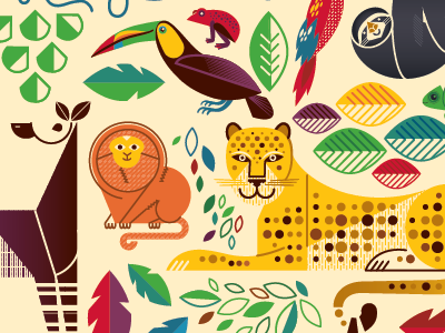 Amazon Animals amazon animal bird jungle leopard money okapi parrot sloth toucan