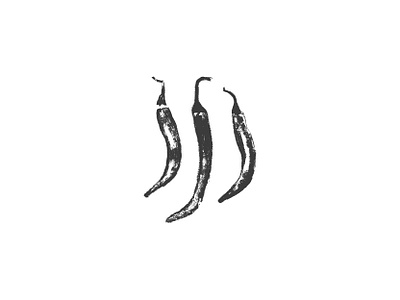 Hot pepper charcoal drawings art black charcoal chili drawing graphite hand drawn hot icon illustration jalapeno jalapeño pepper pepper sign symbol symbols texture