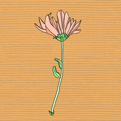 flower flower illustration procreate simple