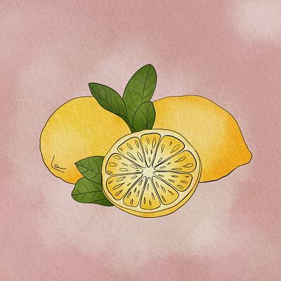 Watercolor Lemon drawing illustraions illustration lemon procreate watercolor