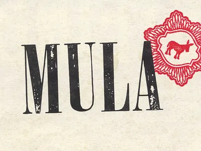 Mula Mexican Kitchen & Tequileria currency mexican money mula mule resturant