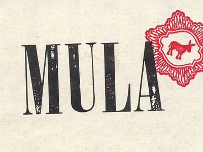 Mula Mexican Kitchen & Tequileria currency mexican money mula mule resturant