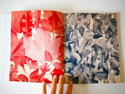 Touch and Detach book editorial photography
