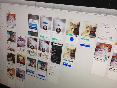 Cat App sketch ui