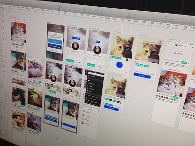 Cat App sketch ui