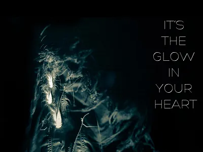 Fotonography2 nikon photo type