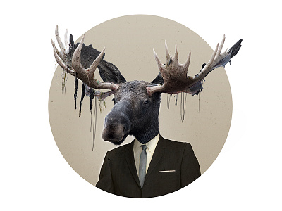 That's me. elch moose photoshop profile retusche