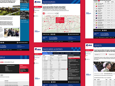 British Horseracing Authority bha digital digital branding firedog interface online sport typography ui ux web web design