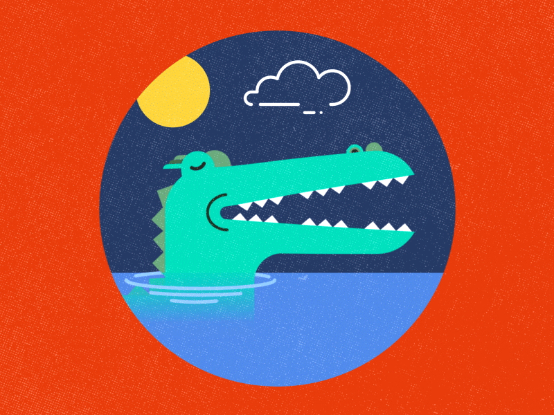 Gator aftereffects animation design gator gif illustration motion