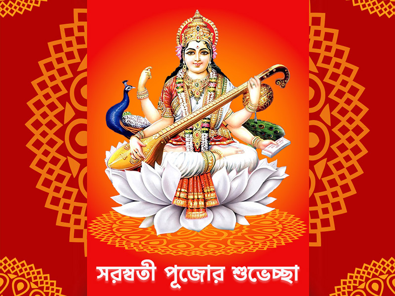 Saraswati puja motion graphics after effects branding colorful creative design illustration motion graphics puja saraswati puja motion graphics social media trending