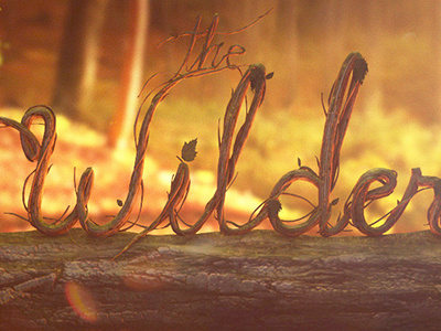 The Wilderness 3d c4d cinema4d design photoshop type